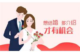 七里河婚姻调查：无效或者被撤销的婚姻的法律后果