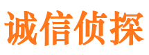 七里河市调查公司